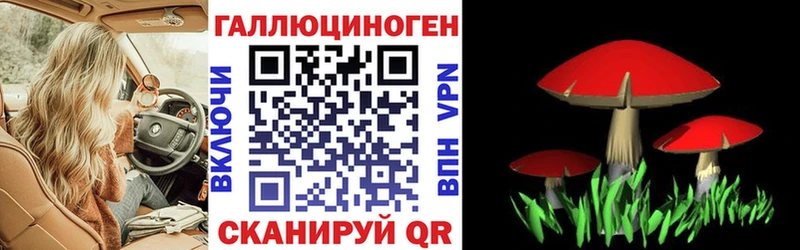 Галлюциногенные грибы GOLDEN TEACHER  Сясьстрой 