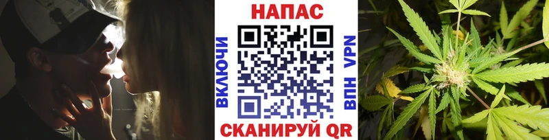 Марихуана тримм  Сясьстрой 